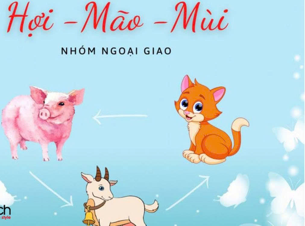 Nhóm Tam Hợp Hợi - Mão - Mùi 