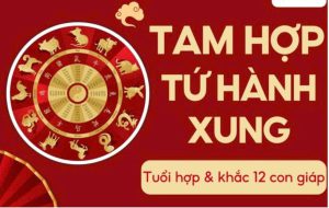 Phân Biệt Tam Hợp - Tứ Hành Xung khác nhau như nào ?