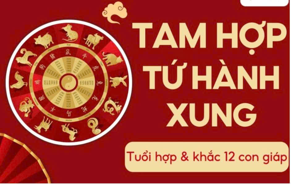 Phân Biệt Tam Hợp - Tứ Hành Xung khác nhau như nào ?