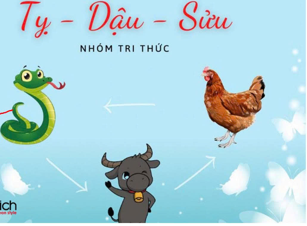 Nhóm Tam Hợp Tỵ - Dậu - Sửu