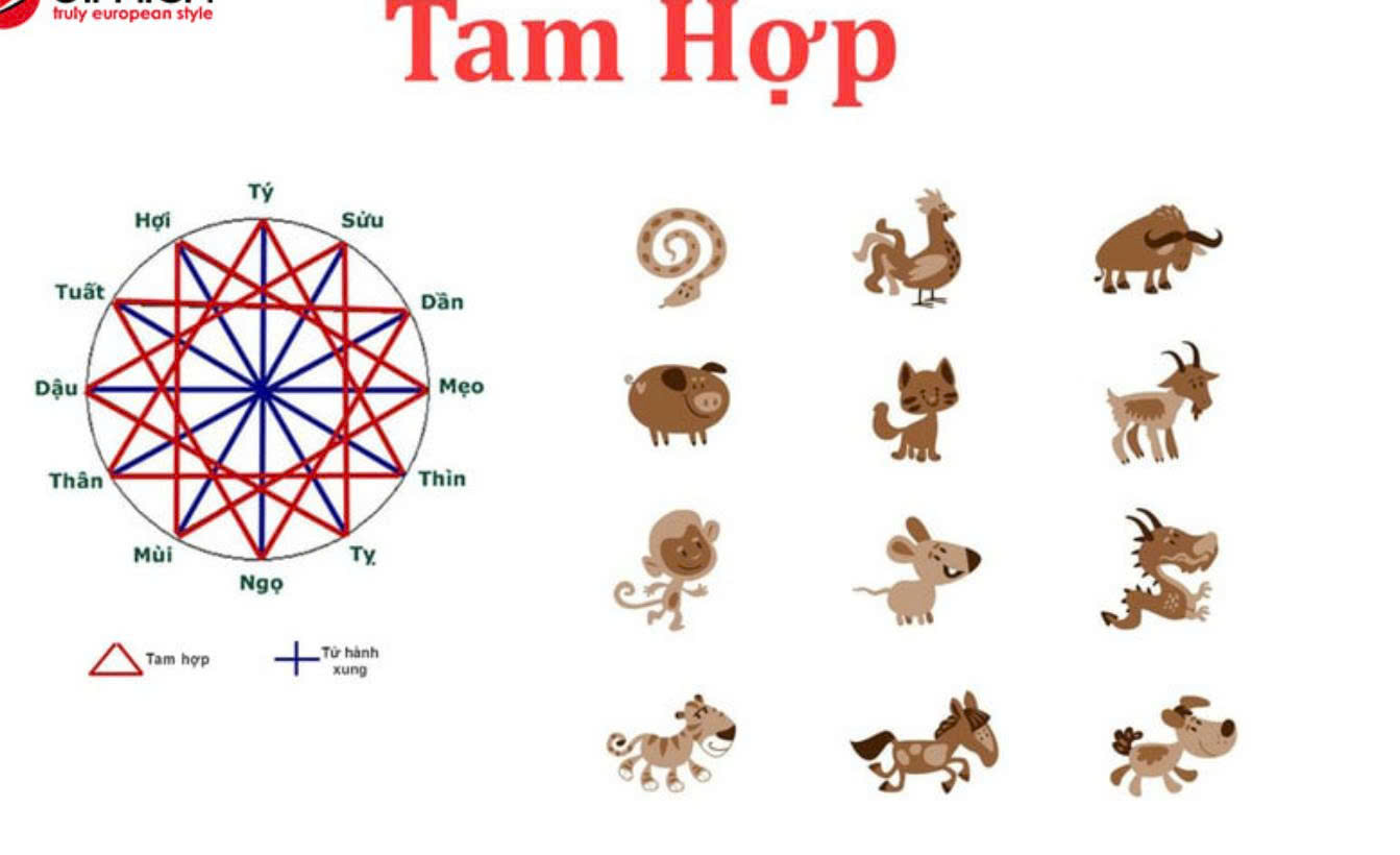 Tam Hợp 12 Con Giáp 2026