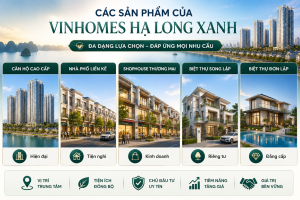 các sản phẩm của Vinhomes Hạ Long Xanh